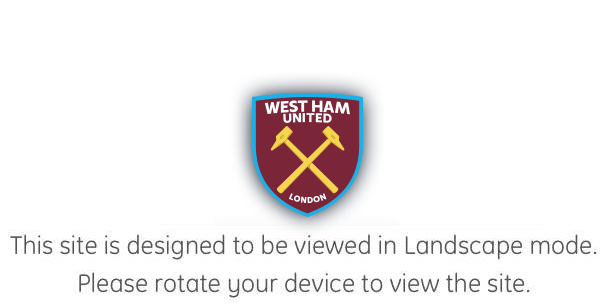 Landscape is the valid orientation